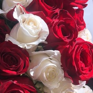 Meet your Posher, Maddy